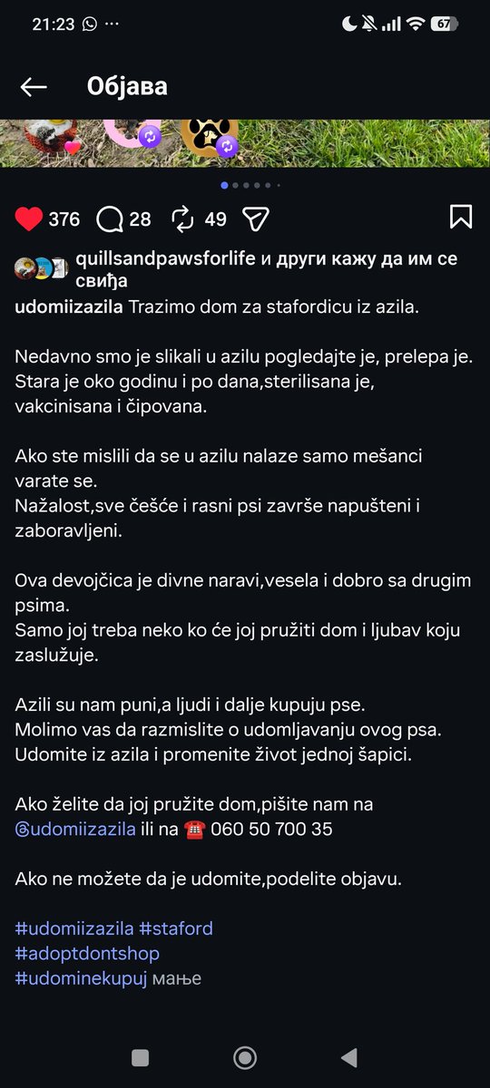 Trazi dom