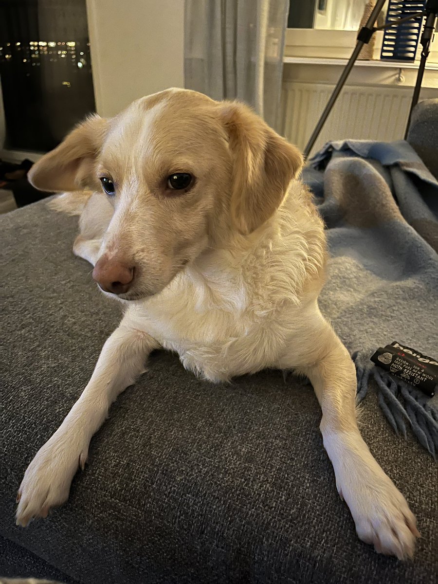 Sen den dagen tweet media