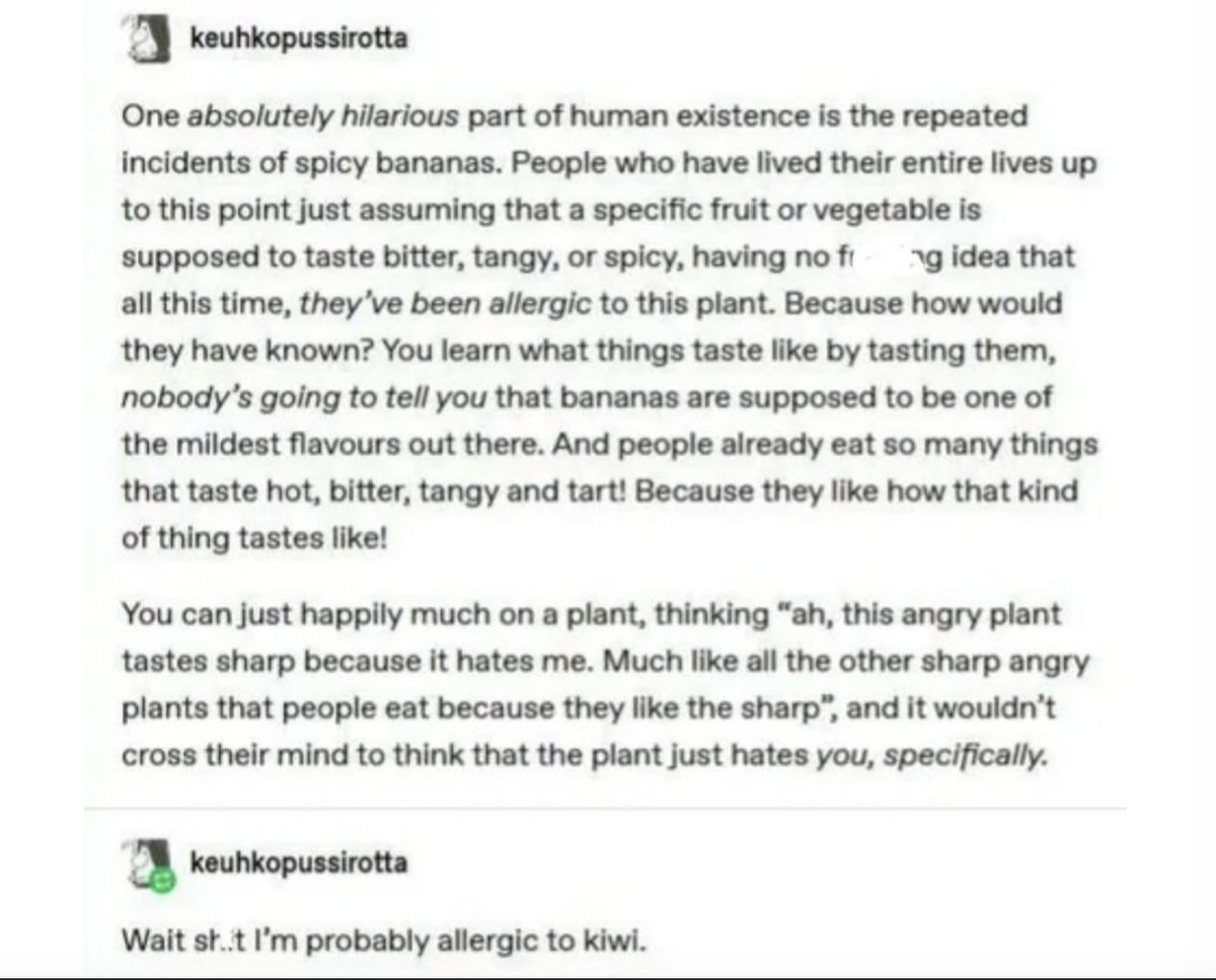 Amanda Deibert tweet media