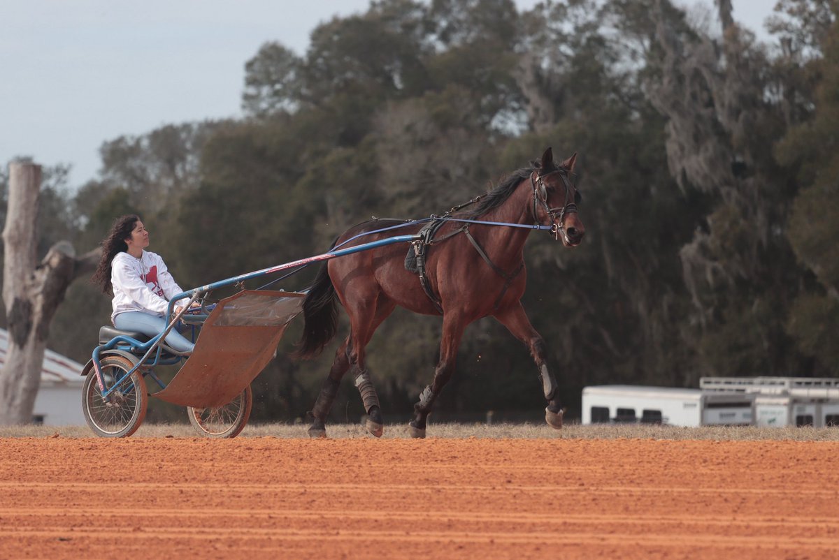 VIP Stable tweet media