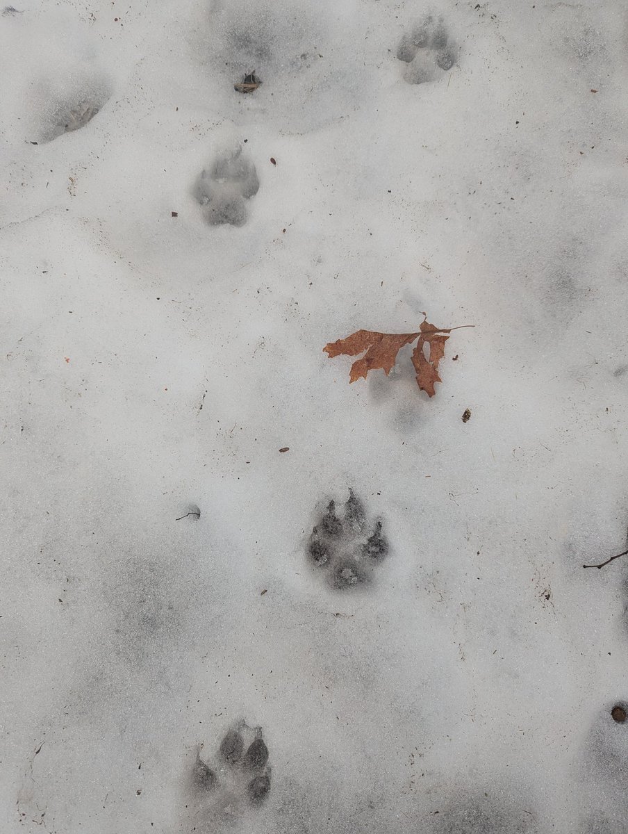 pile of dirt tweet media