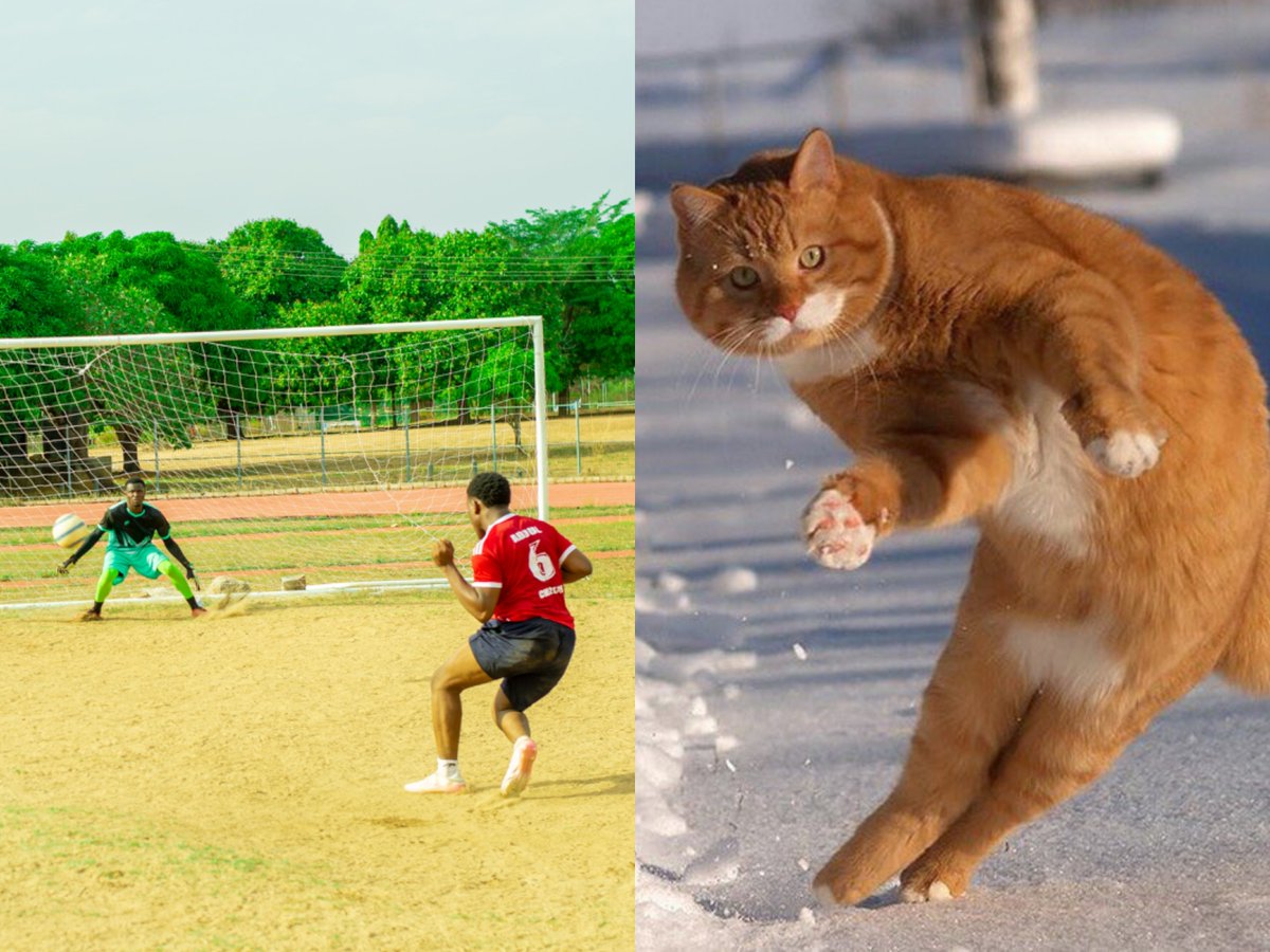 Avalanche PlayEngine 🔺️ tweet media