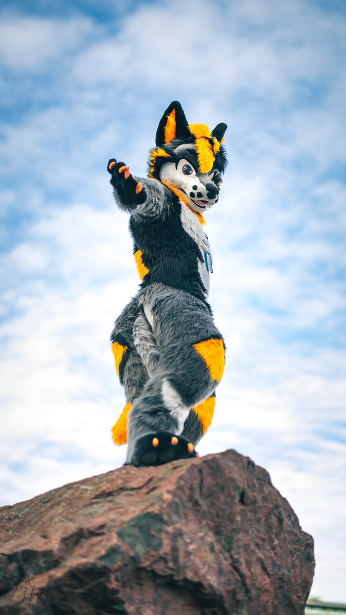 Xeris 🐺 🔜 NFC tweet media