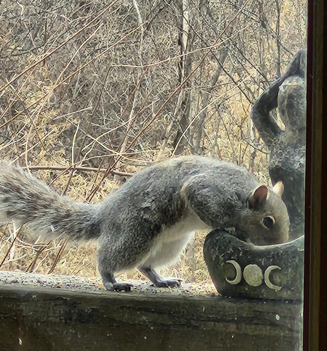 💫🔮SpellFire🔮💫 tweet media