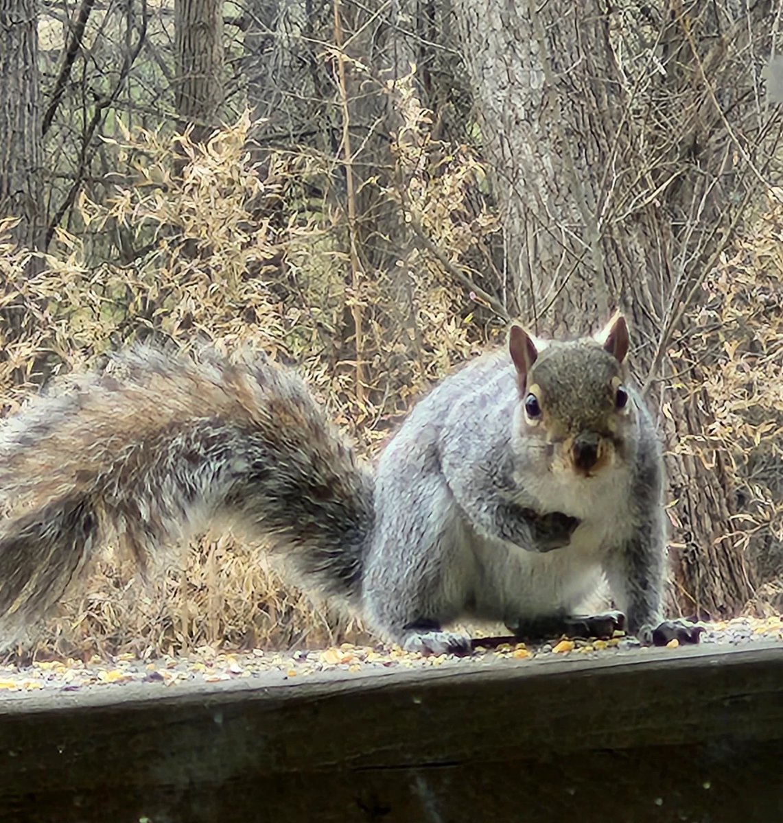 💫🔮SpellFire🔮💫 tweet media