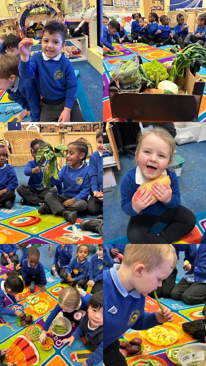 Haimo Primary School tweet media