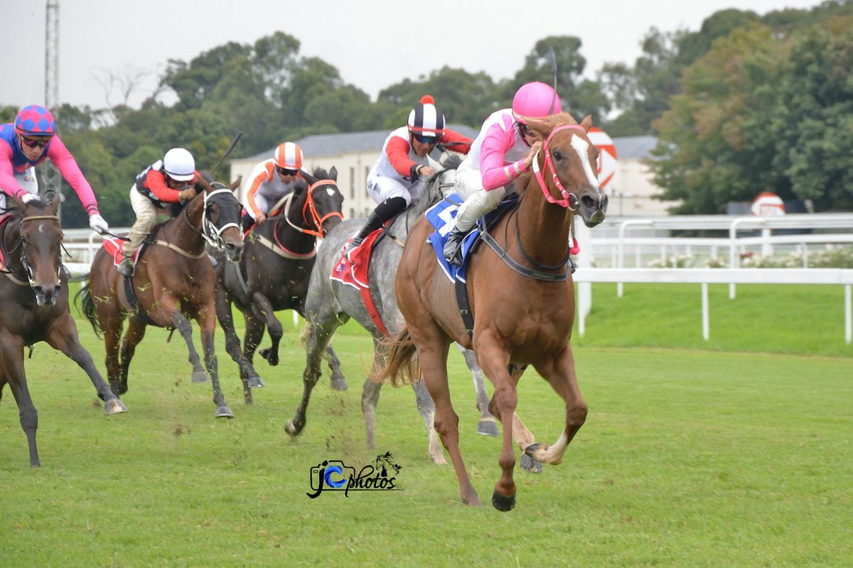 Frederic Spanu Racing tweet media