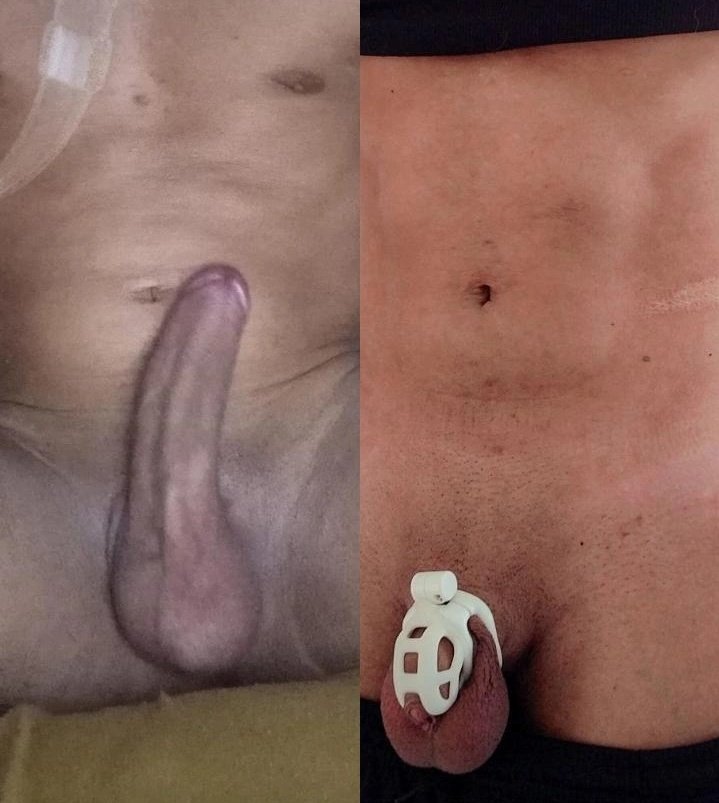 Lockedwolfy tweet media