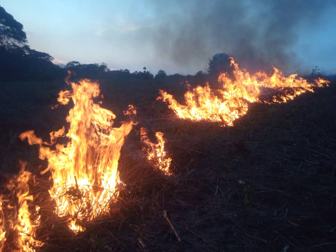 MapRI Initiative Uganda tweet media