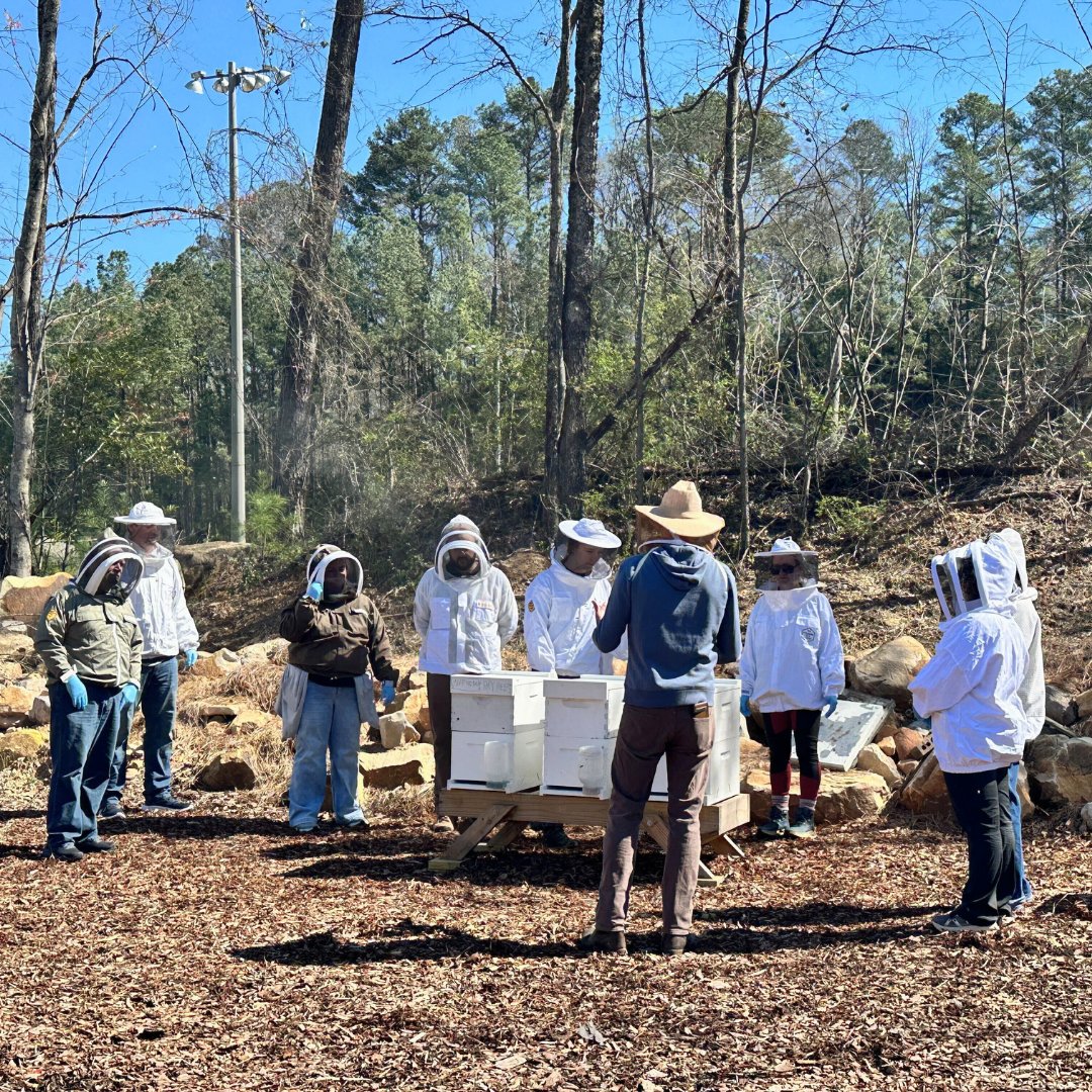 FoxhoundBeeCo's tweet image. Here are a few photos from today's one day beekeeping class. It's always fun sharing bees with soon-to-be beekeepers.

Next class—and the last one for the year—is on April 17th. Sign up as early as now: bit.ly/4qFaMvL

#foxhoundbeeco #beekeeping #beekeepingclass #bees