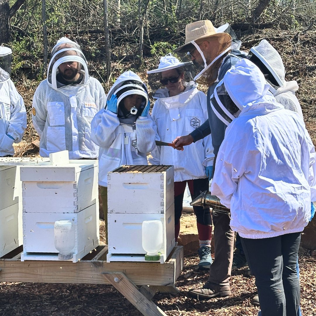 FoxhoundBeeCo's tweet image. Here are a few photos from today's one day beekeeping class. It's always fun sharing bees with soon-to-be beekeepers.

Next class—and the last one for the year—is on April 17th. Sign up as early as now: bit.ly/4qFaMvL

#foxhoundbeeco #beekeeping #beekeepingclass #bees