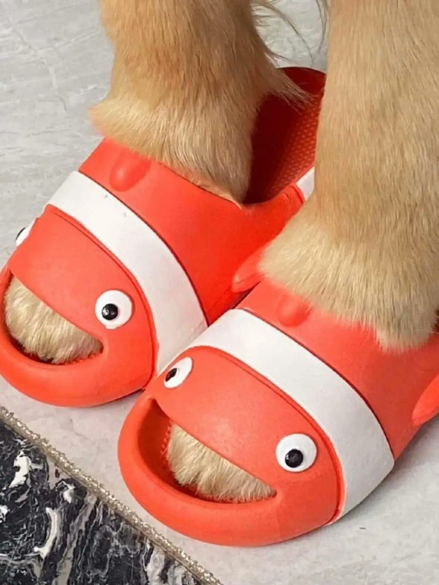 everything dogs 🐶 (@everythingdogss) on Twitter photo 