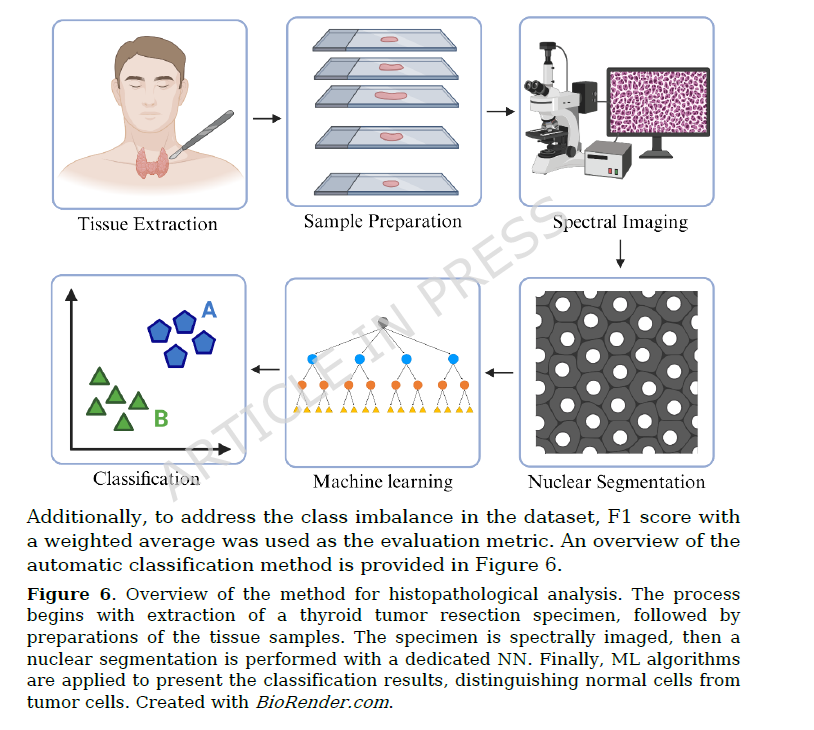 Sociedad SEEN tweet media