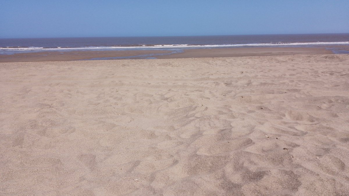 Sutton On Sea Beachcare tweet media