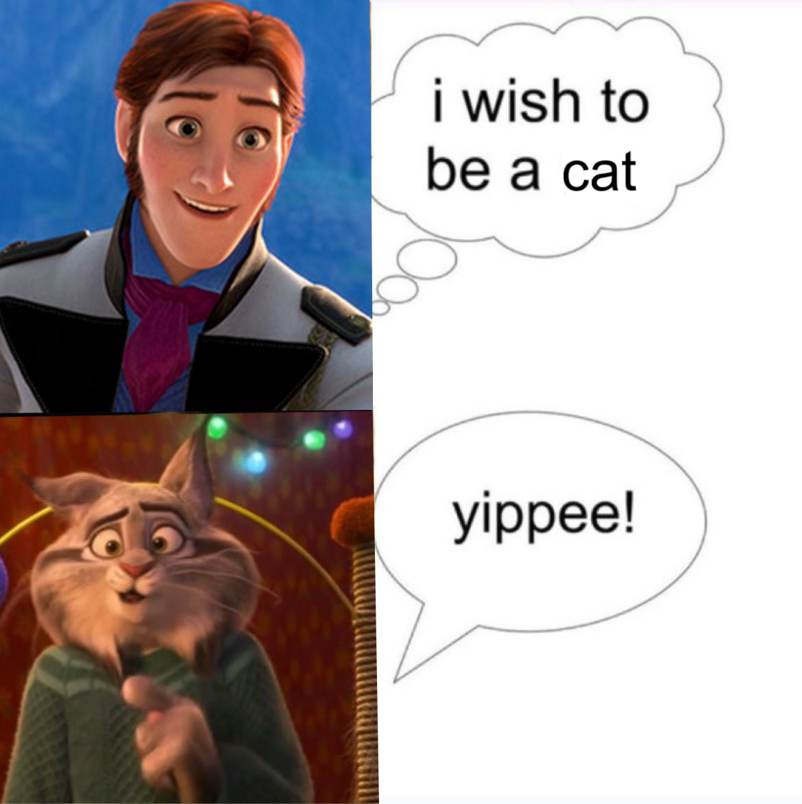 Pawbert Nation tweet media