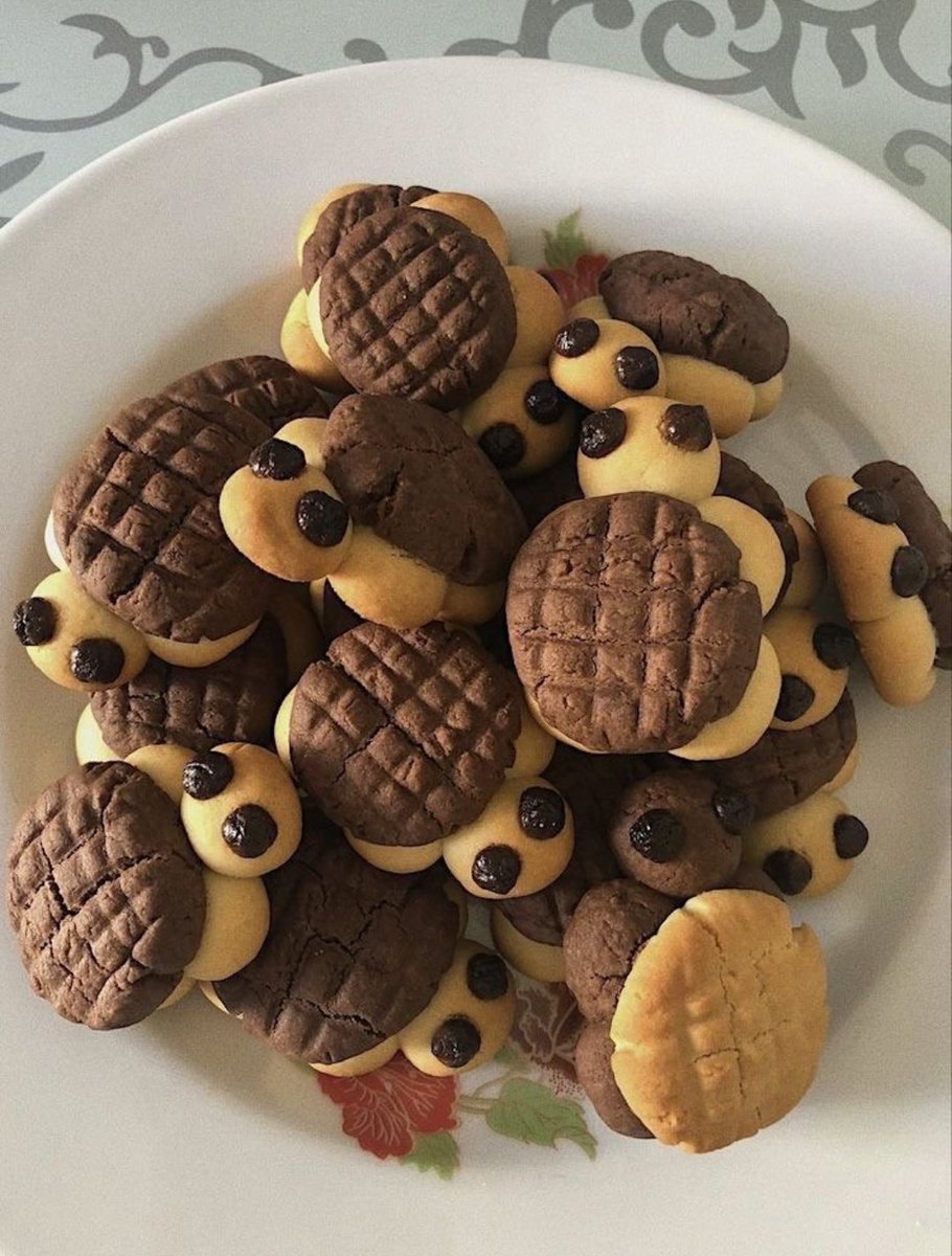 blanklspaces's tweet photo. META: você vir aqui pra casa pra gente fazer biscoitos de tartaruguinha juntos... https://t.co/0JpR9DDb3G
