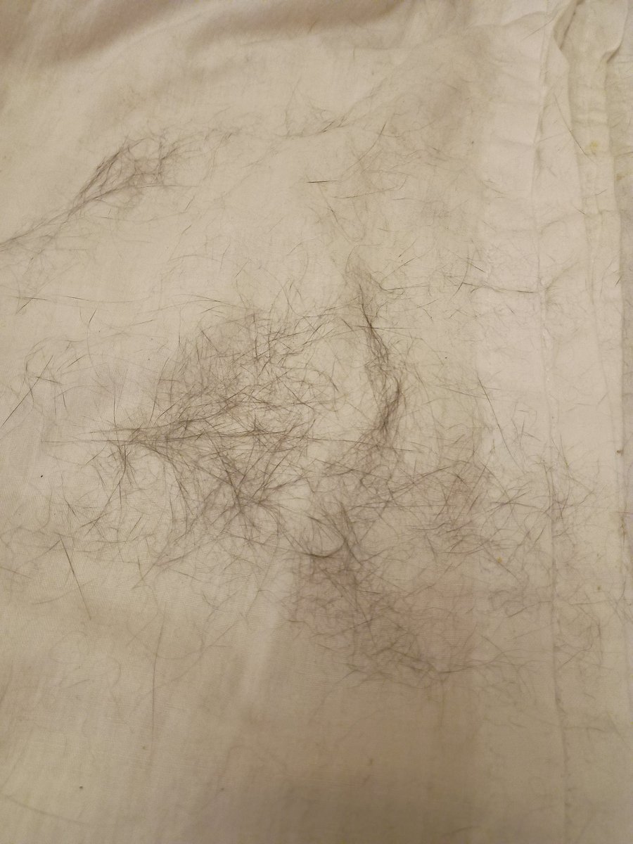 Tim Hall ∞🐵+∞⌨️ tweet media