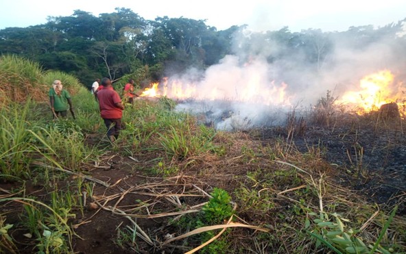 MapRI Initiative Uganda tweet media