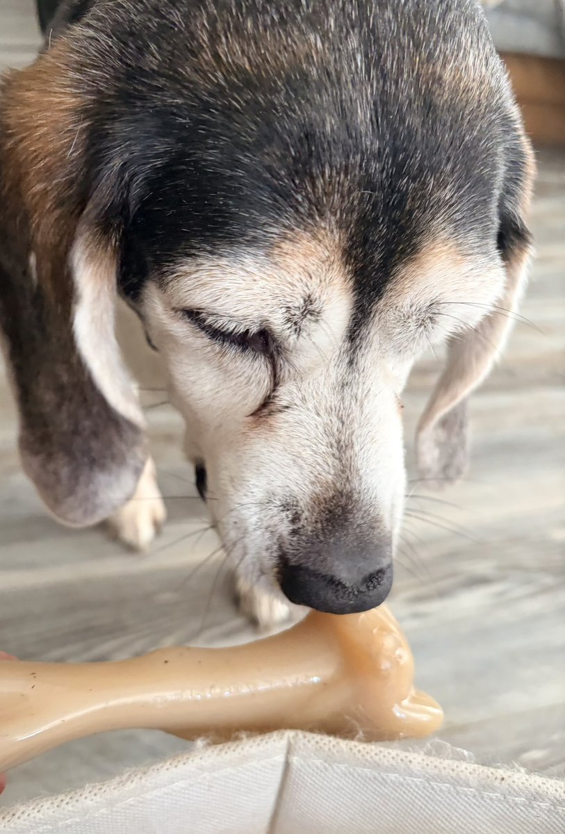 Lola Patolla tweet media