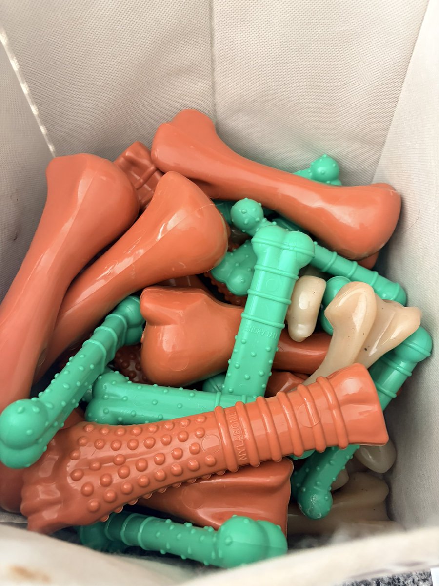 Lola Patolla tweet media