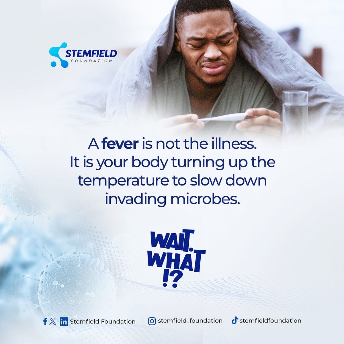 Stemfield foundation tweet media