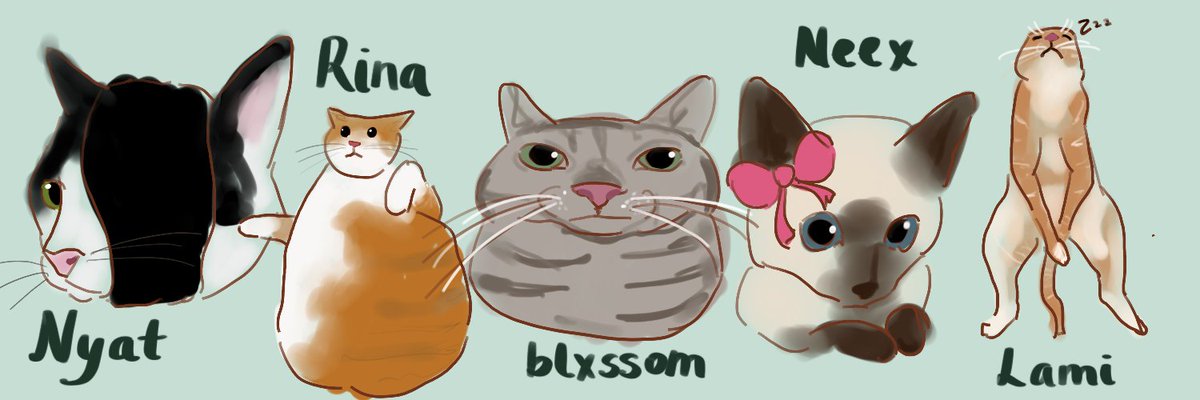 teamflashers tweet media