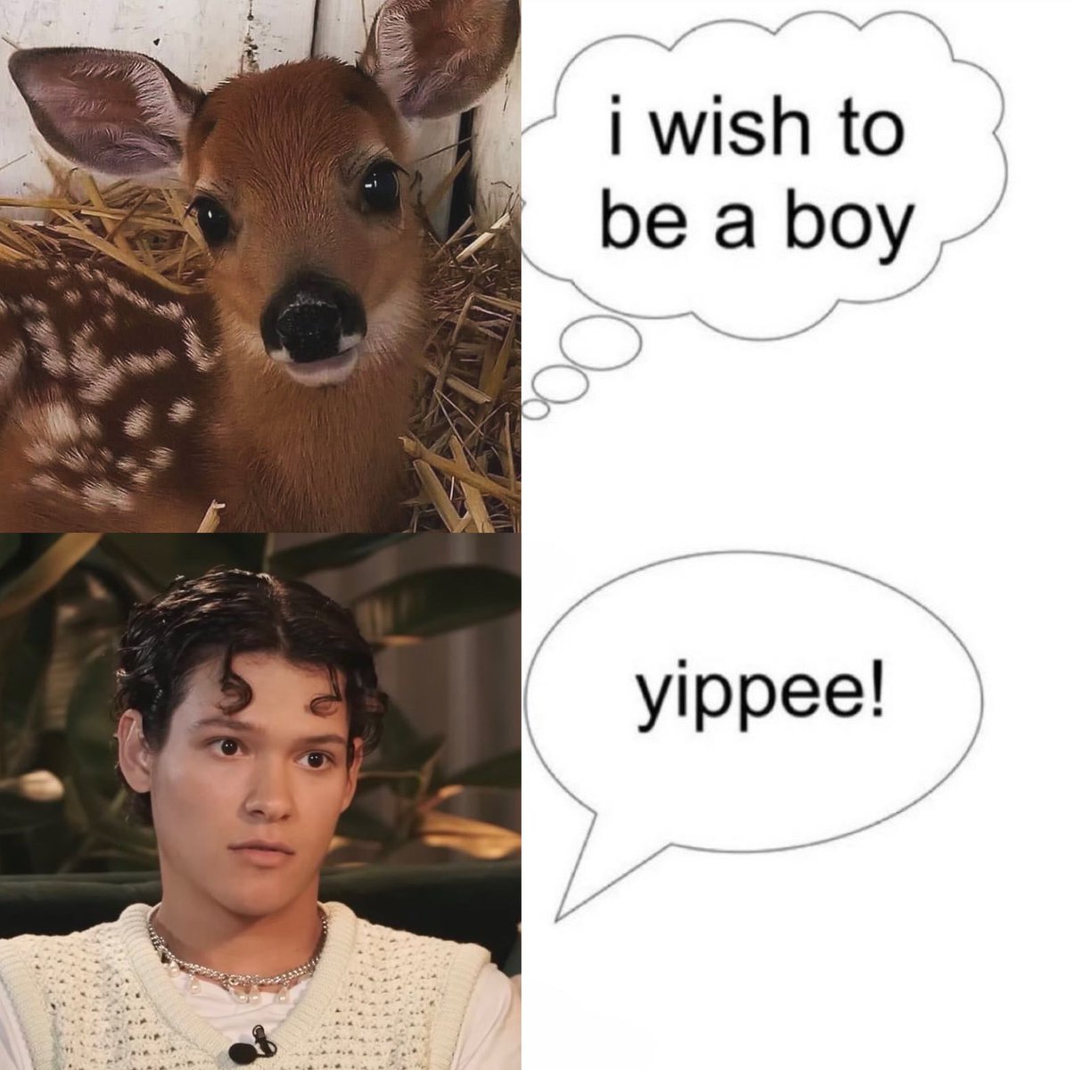 toni 💫 tweet media