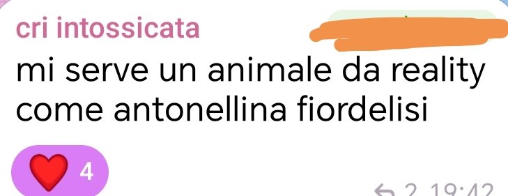 nuovo gf . 
anno 2026.
noi siamo ancora qua.. 
eh già.