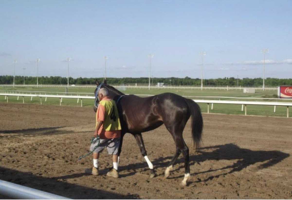 A horse that keeps running, a horse that keeps going
$DAEMON is one of the horses
#HORSES  <a href="/SatoshiDaemon/">Satoshi Daemon</a> 
HCBDsCcLAefSqeeY1RDgruX2ZWiLzVAGnYhDLx9hpump  🐎🐎🐎