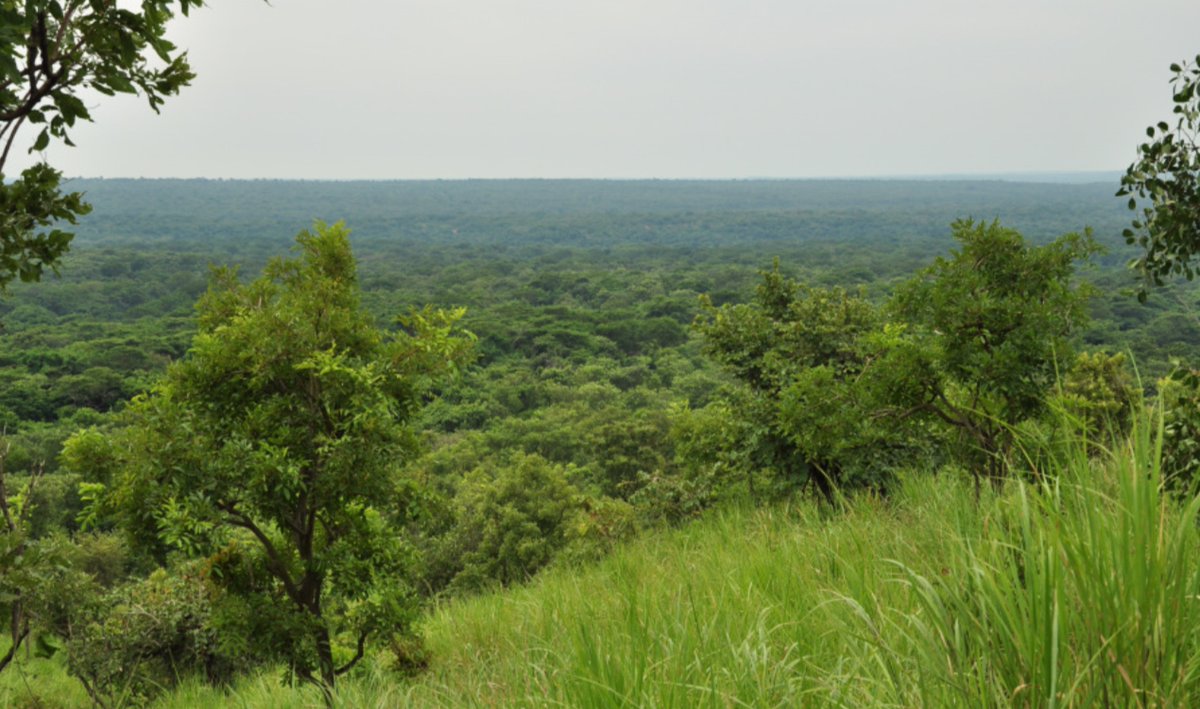 MapRI Initiative Uganda tweet media