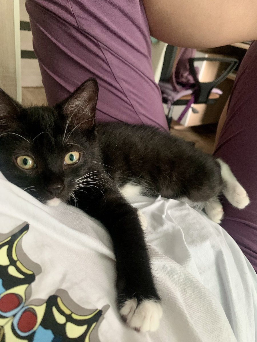 leto_krasnoe_propela tweet media