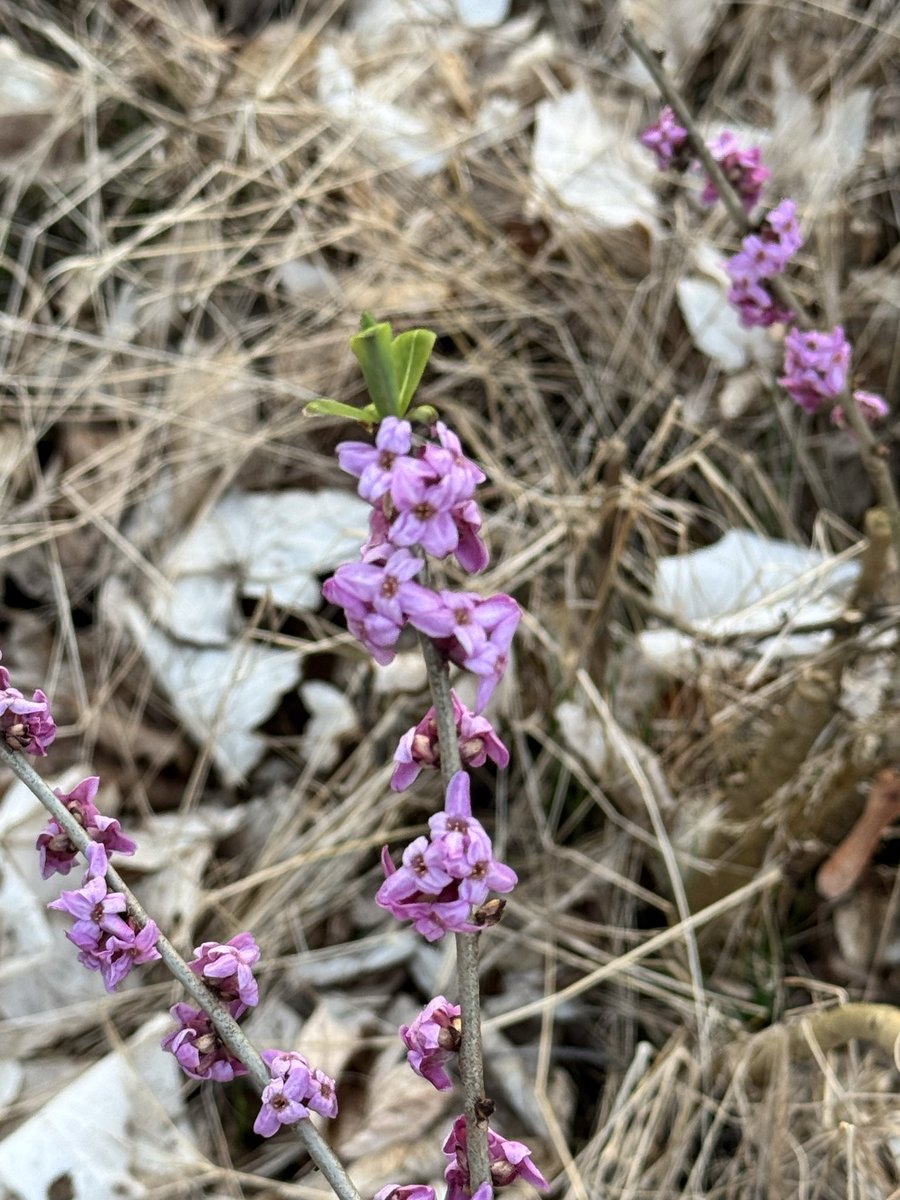 Přemek Kohout tweet media