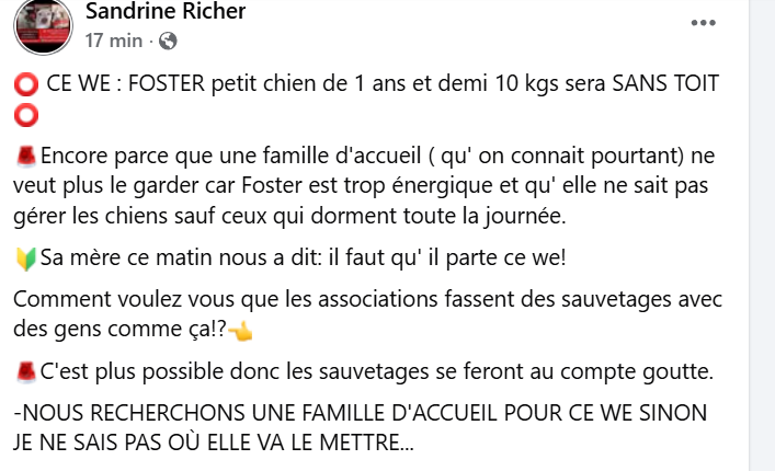 justine44 tweet media