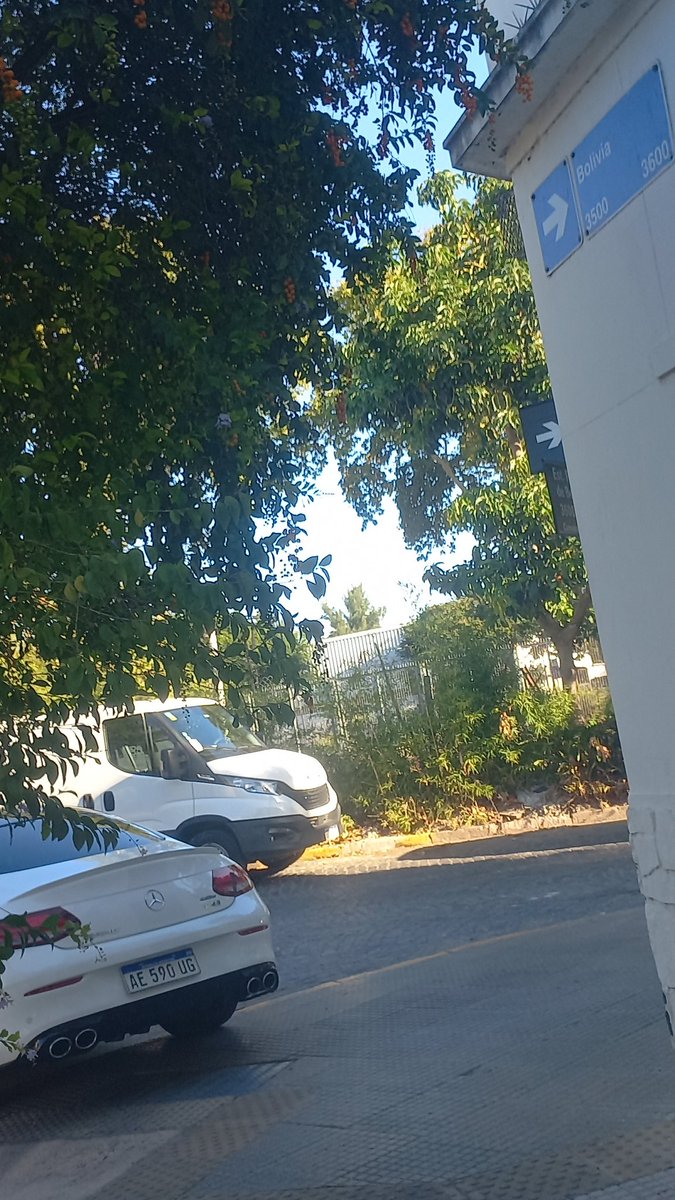 Gaby Pena tweet media