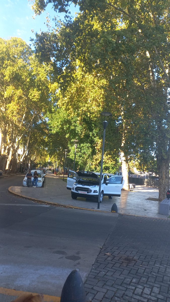 Gaby Pena tweet media