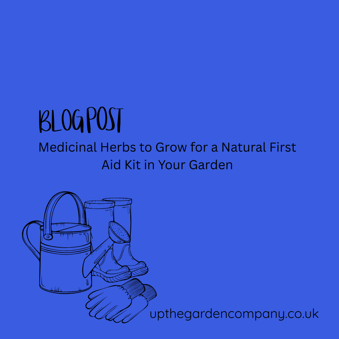 UpTheGardenCo's tweet photo. Medicinal Herbs to Grow for a Natural First Aid Kit in Your Garden.
👉https://t.co/Oi66ifeEtL

#medicinalherbs #herbs #growyourown #herbalgarden #firstaidkit #gardening #gardenblogs https://t.co/9H5NYE0AHl