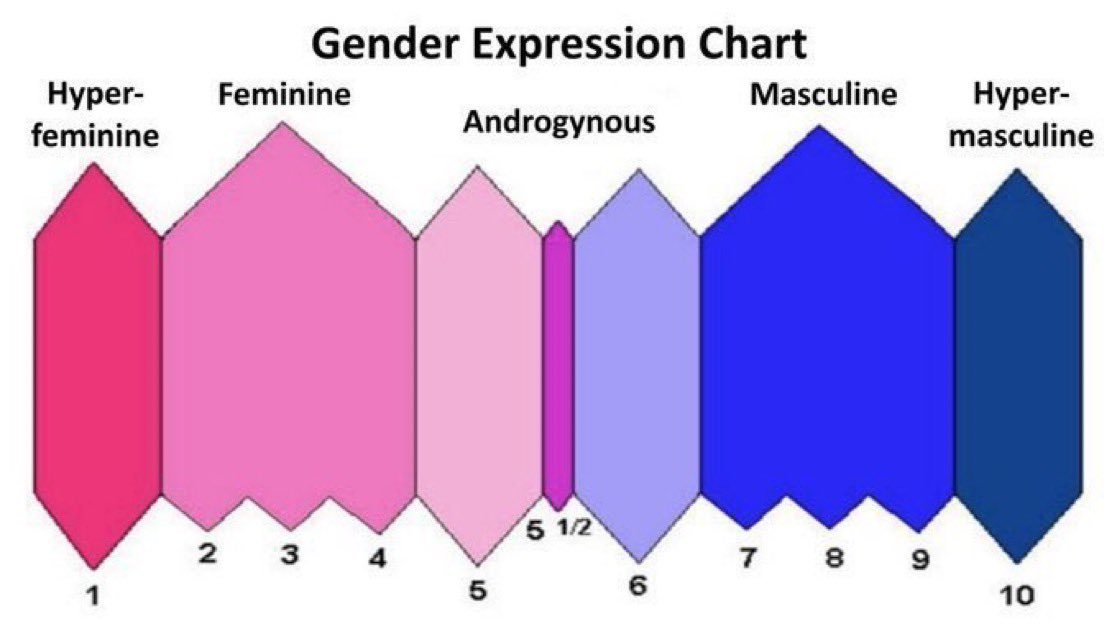 INACTIVE tweet media