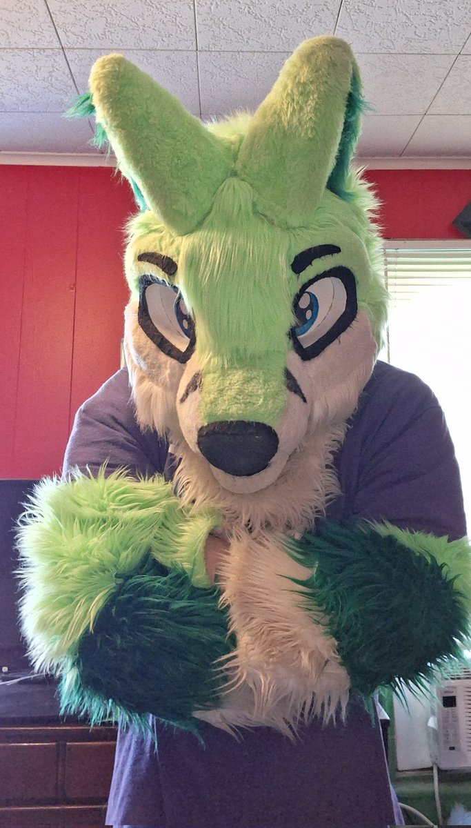 Browmni The Fox. | 🏳️‍⚧️ Ally | tweet media