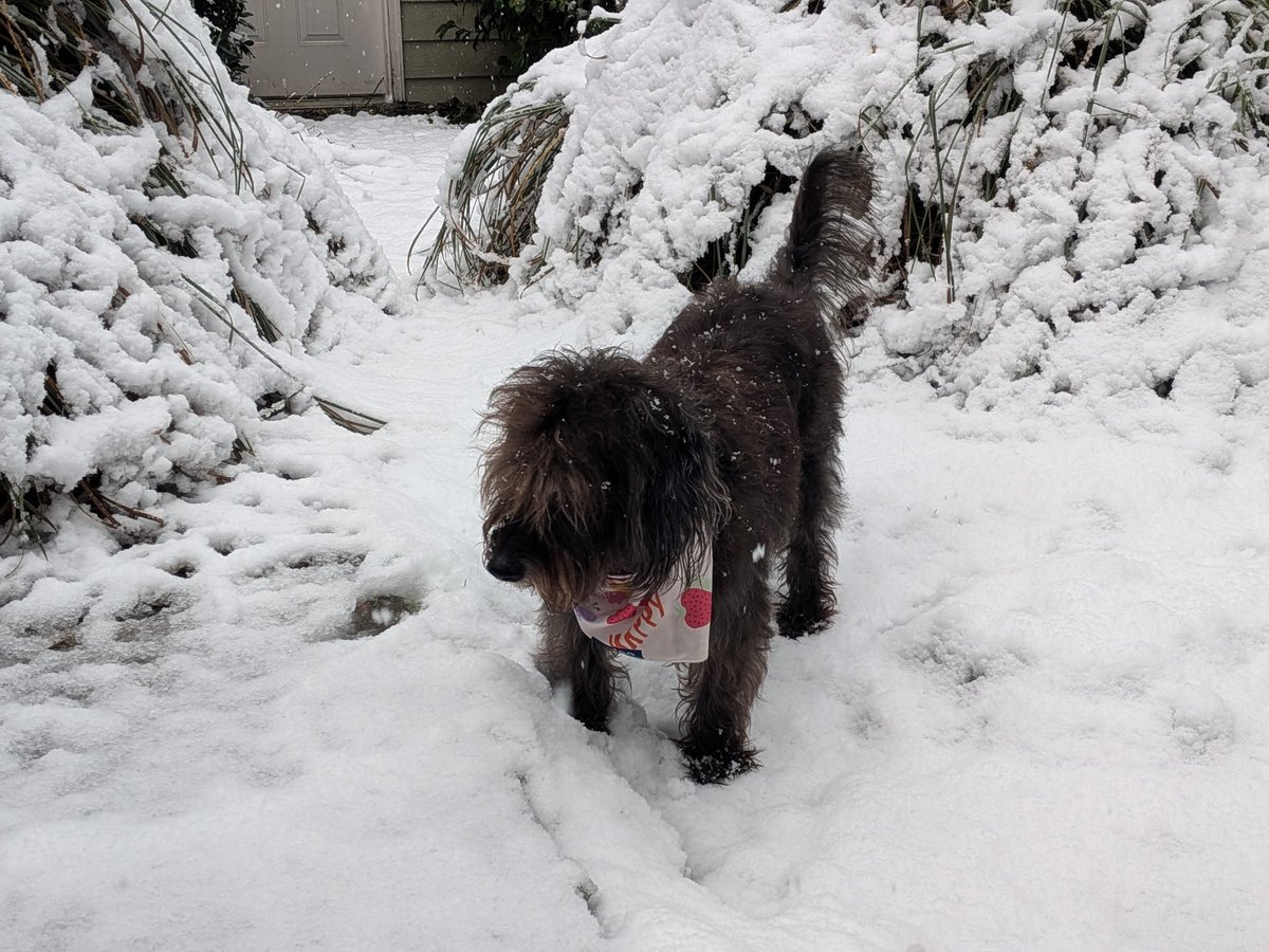 Barry P. tweet media