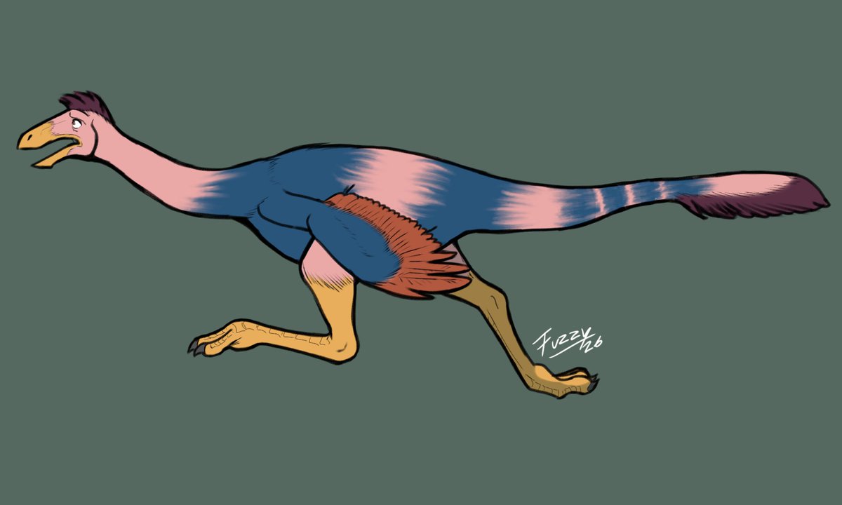 Fuzzy CB🐱🏳️‍🌈Open Commissions tweet media