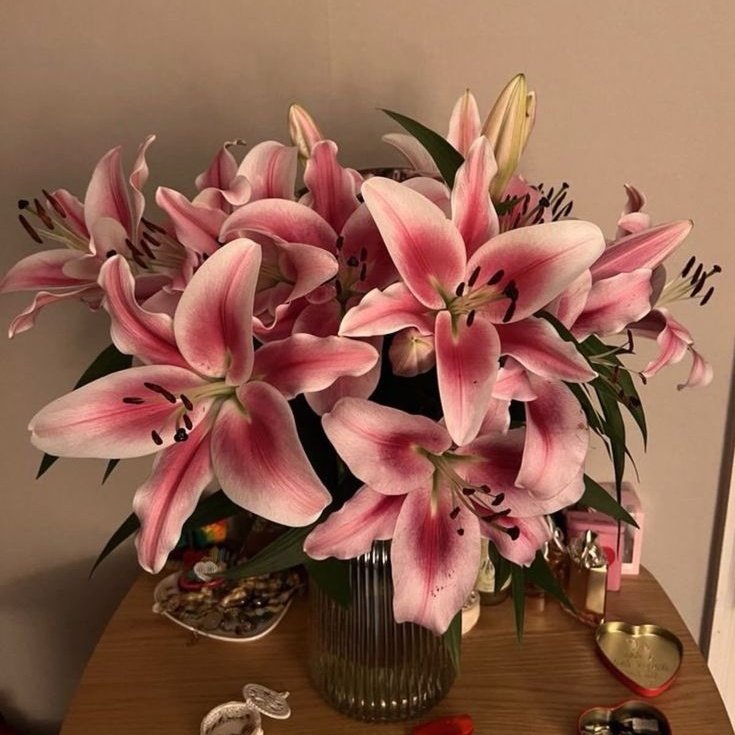 𓆩♡𓆪 tweet media