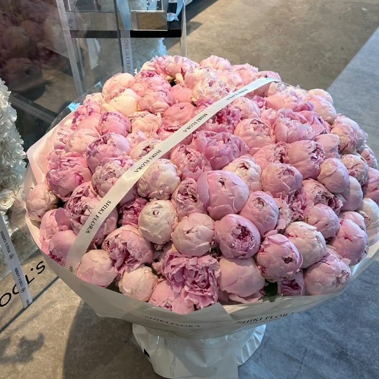 𓆩♡𓆪 tweet media