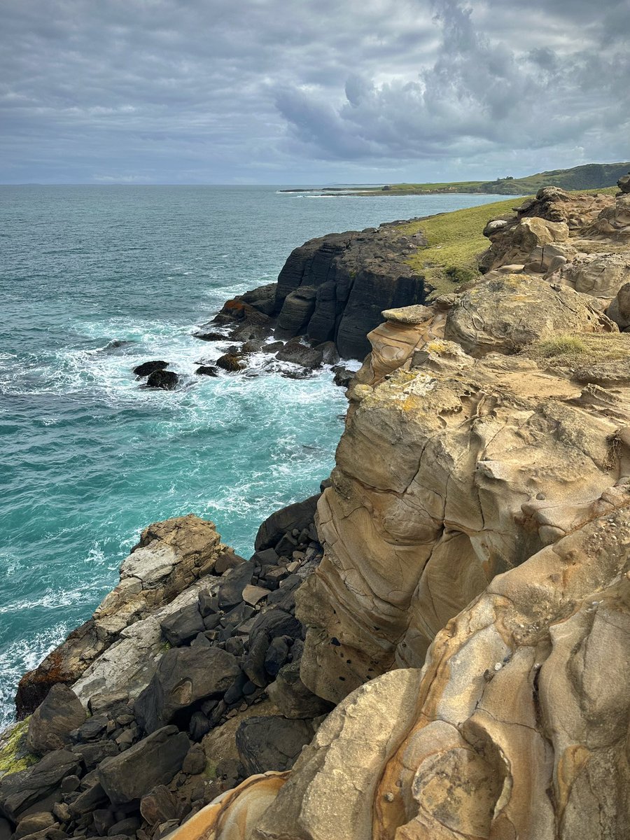 Kevin Palmer tweet media