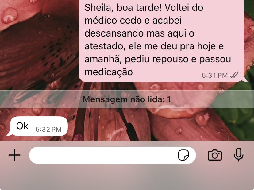 lia winchester tweet media