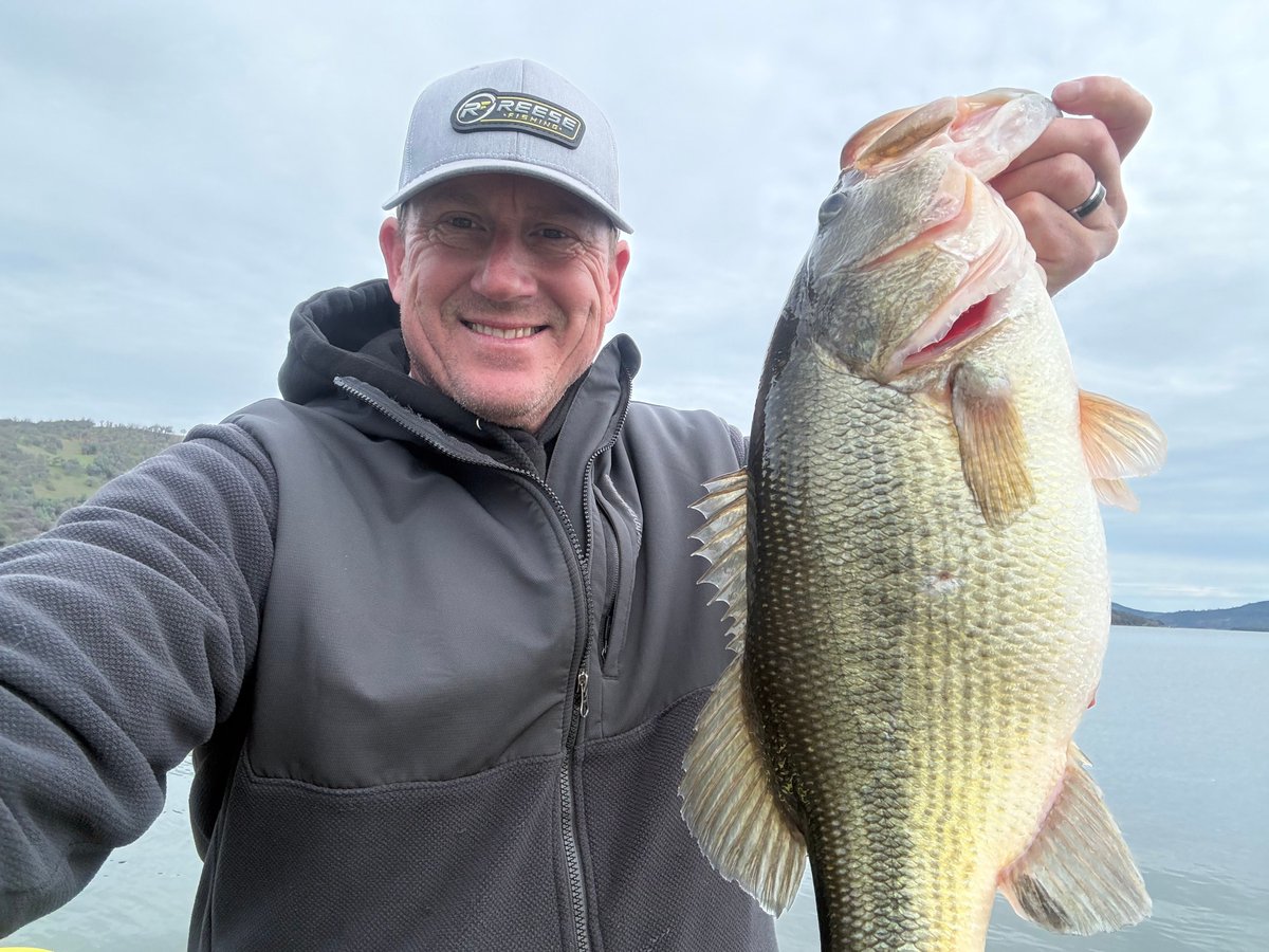 SkeetReese1's tweet photo. Loving my new Ranger boat. Ive been breaking it in this last week, and we're putting in some work! 🎣 @power.pole #PowerPole #PowerPoleMove #lowrancePartner @Lowrancefishing #Lowrance #lowrancefishing @Rangerboats #Ranger #Rangerboats #boats #bassboats #reesefishing #fishing https://t.co/MR3HmFUsRq