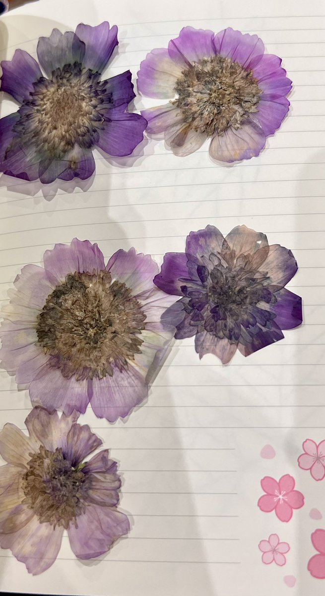 Jonathan Sheppard tweet media