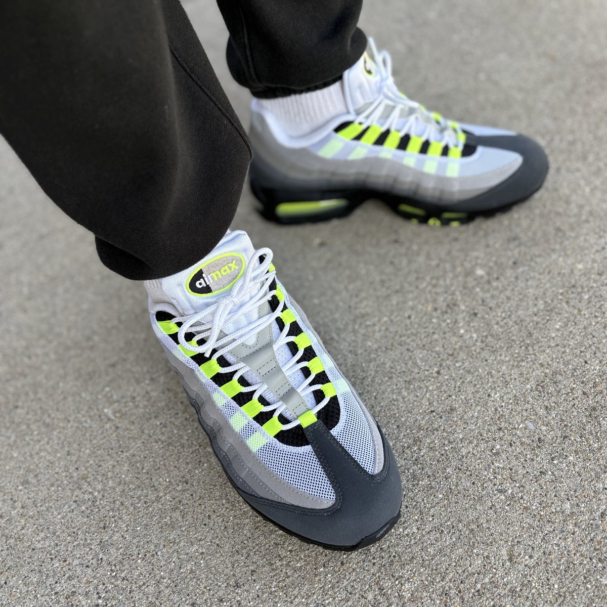 Jared Wellman tweet media