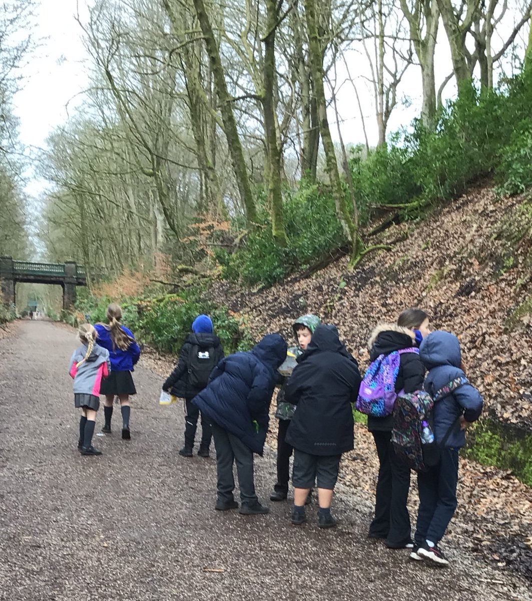 Canon Sharples Year Five tweet media