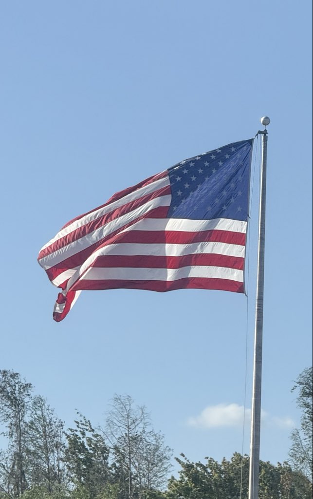 🇺🇸 Dave 🇺🇸 tweet media