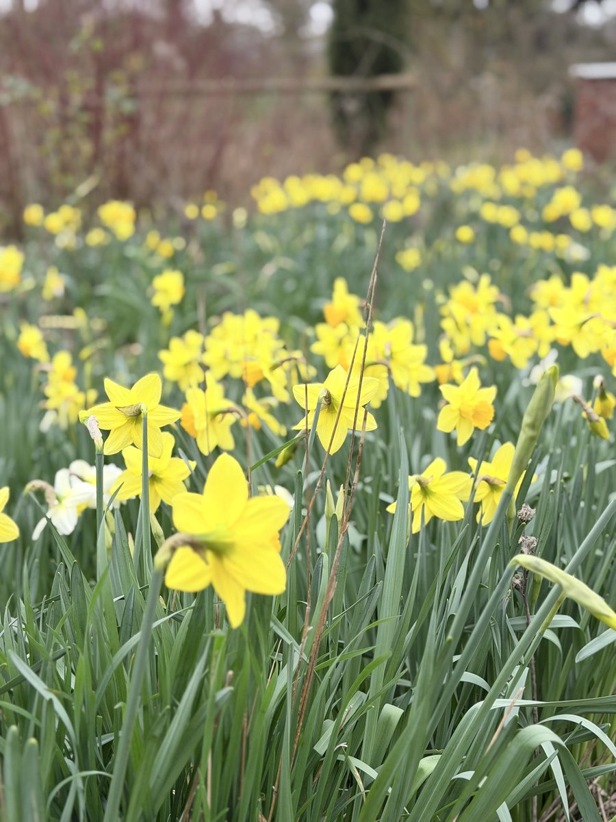 Jonathan Sheppard tweet media
